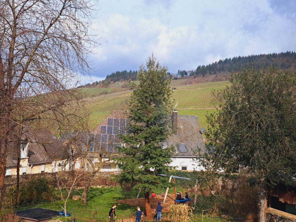 Haus Moselwald - 3 Bedrooms Enkirch Dış mekan fotoğraf